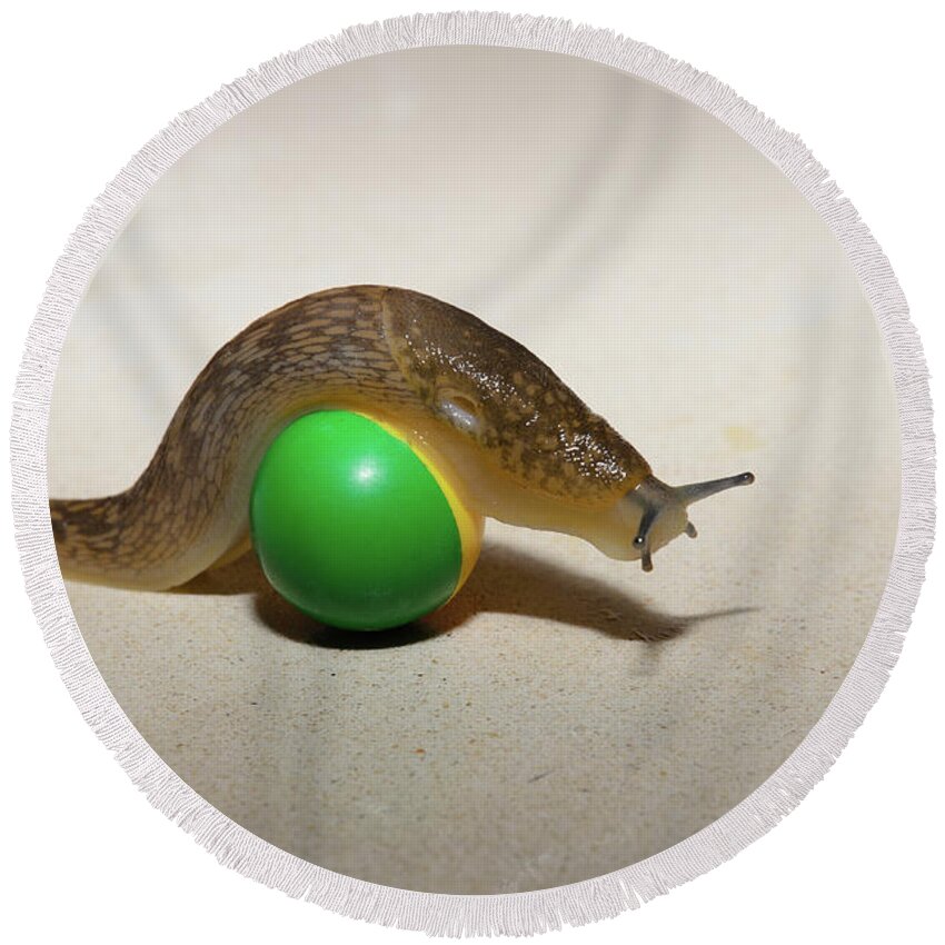 Ball Round Beach Towel featuring the photograph Slug on the ball by Michael Goyberg
