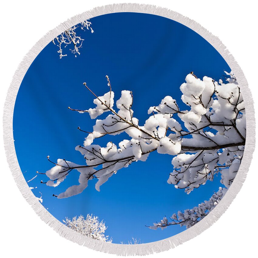 Cold Round Beach Towel featuring the photograph Snowy Trees and Blue Sky by Lori Coleman