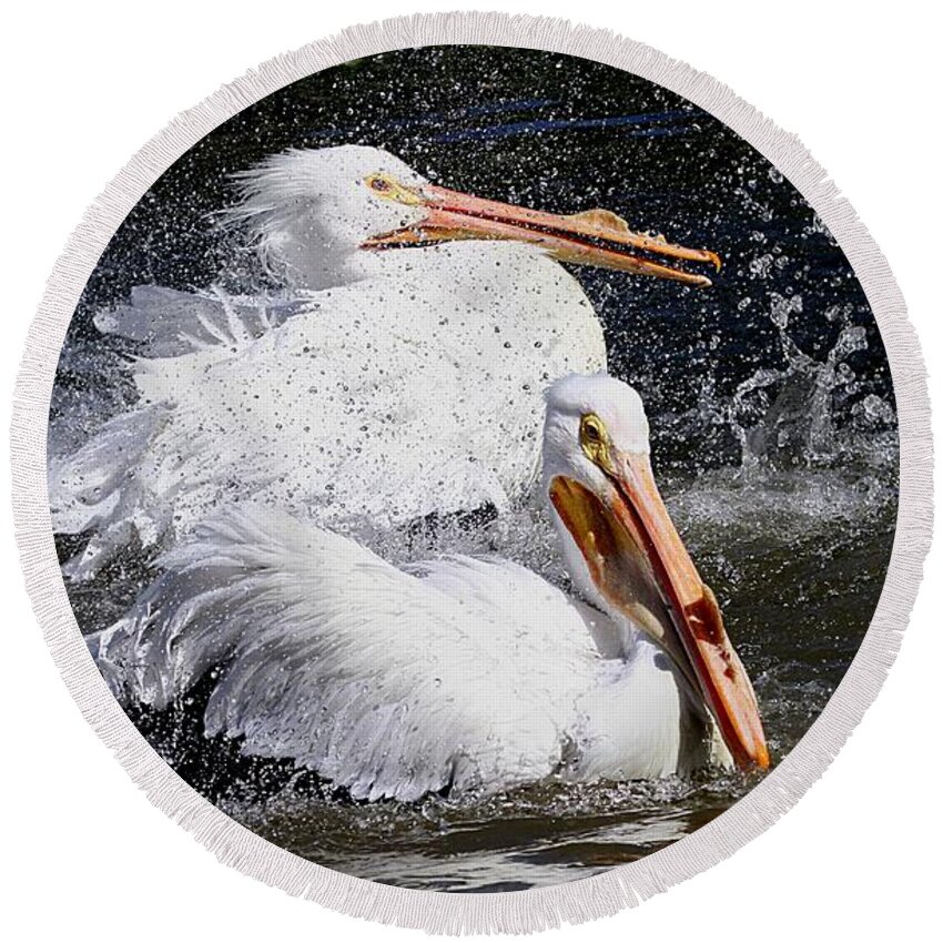 Pelicans Round Beach Towel featuring the photograph Splish Splash by Elizabeth Winter
