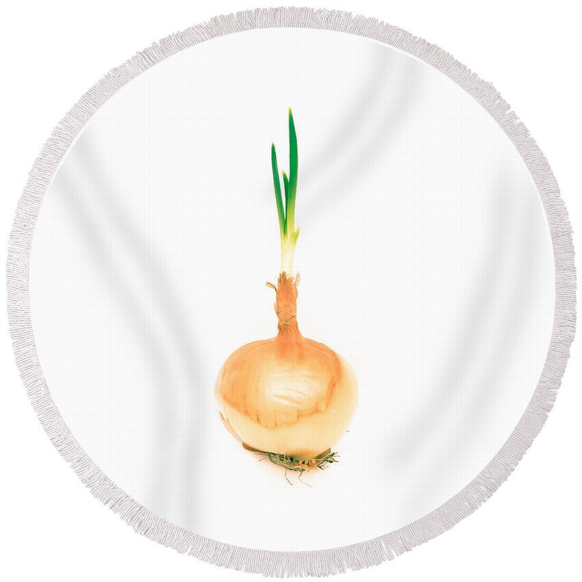 Allium Round Beach Towel featuring the photograph Sprouting onion by Tom Gowanlock
