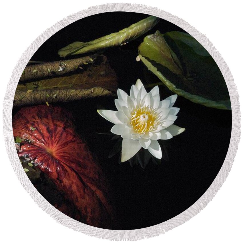 Brazillian Water Lilly Round Beach Towel featuring the photograph Still Life by Joseph Yarbrough