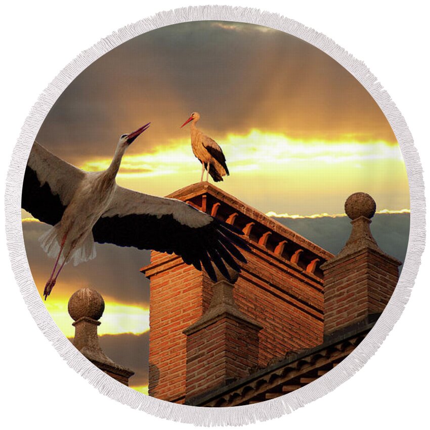 Stork Photographs Round Beach Towel featuring the photograph Storks at Sunset by Harry Spitz