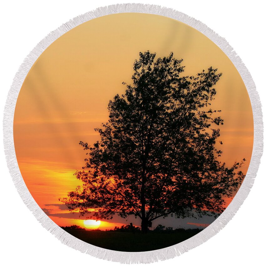 Biophilic Round Beach Towel featuring the photograph Square Photograph of a Fiery Orange Sunset and Tree Silhouette by Angela Rath