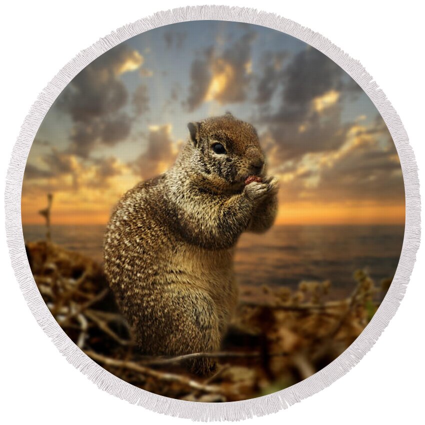 Sunset Round Beach Towel featuring the photograph Sunset Squirrel by Daniel Knighton