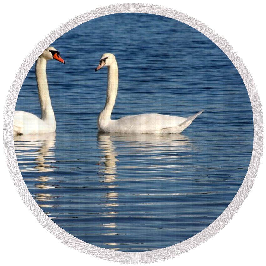 Swans Round Beach Towel featuring the photograph Swan Mates by Sabrina L Ryan