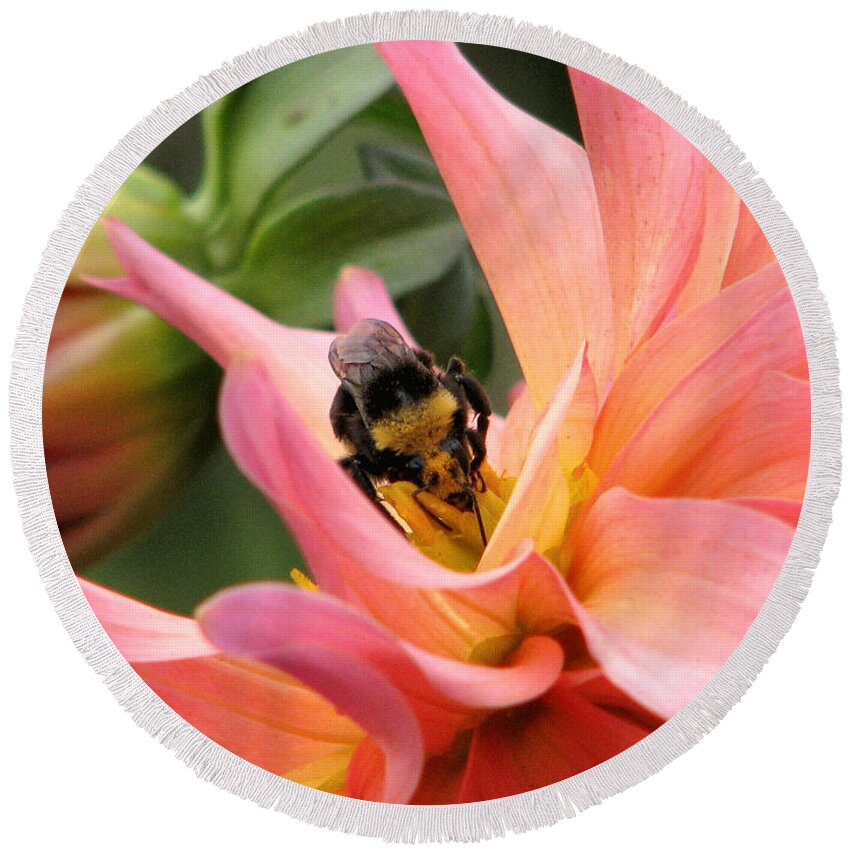 Flower Round Beach Towel featuring the photograph Sweet Nectar by Rory Siegel