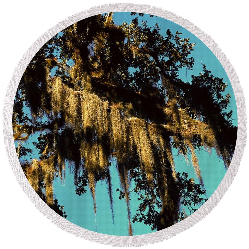 Spanish Moss Hanging From Bald Cypress Tree Branches Round Beach Towel featuring the photograph Teach Us Delight by Sally Weigand