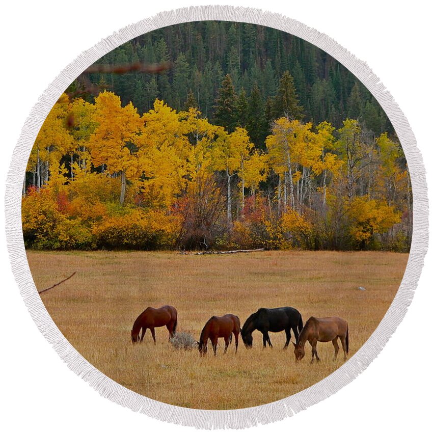 Horses Round Beach Towel featuring the photograph Teton Canyon Autumn by Eric Tressler