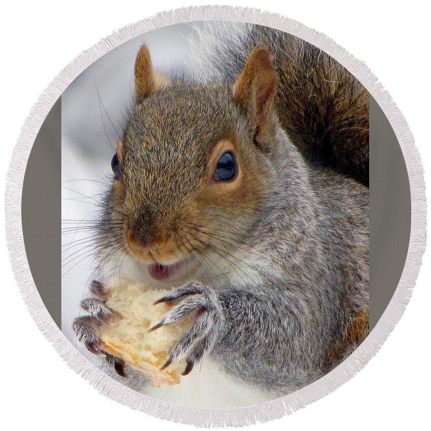 Squirrels Round Beach Towel featuring the photograph I Loves Me Some Stale Bread by Lori Lafargue