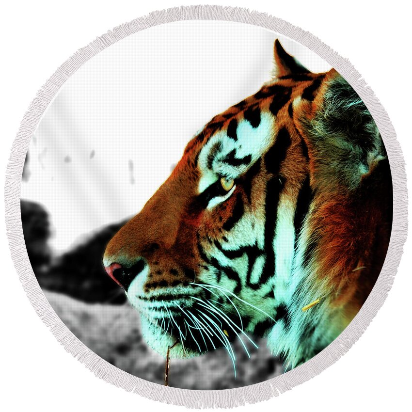 Tiger Round Beach Towel featuring the photograph The Alpha by La Dolce Vita