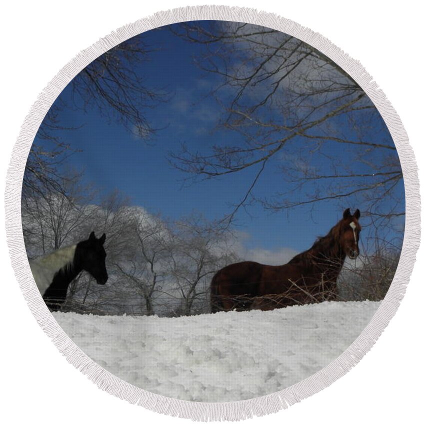 Horse Round Beach Towel featuring the photograph They look just as puzzled as I was by all the white stuff by Kim Galluzzo