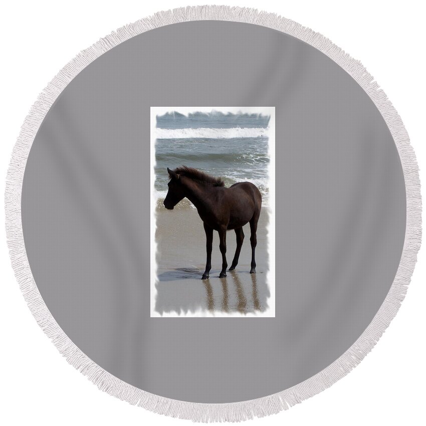 Foal Round Beach Towel featuring the photograph Thinking About It by Kim Galluzzo