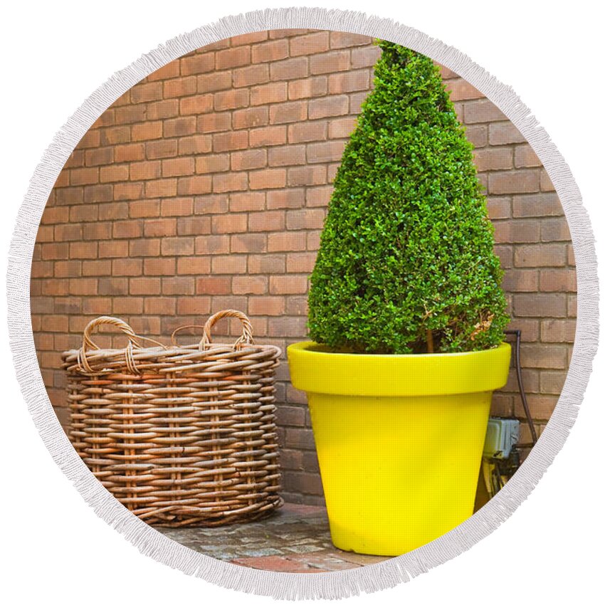 Arrangement Round Beach Towel featuring the photograph Topiary by Tom Gowanlock