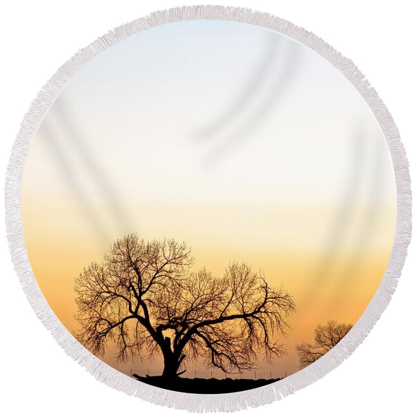 'boulder County' Round Beach Towel featuring the photograph Tree Harmony by James BO Insogna