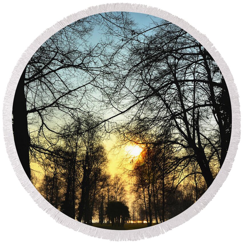 Tree Round Beach Towel featuring the photograph Trees and sun in a foggy day by Mats Silvan