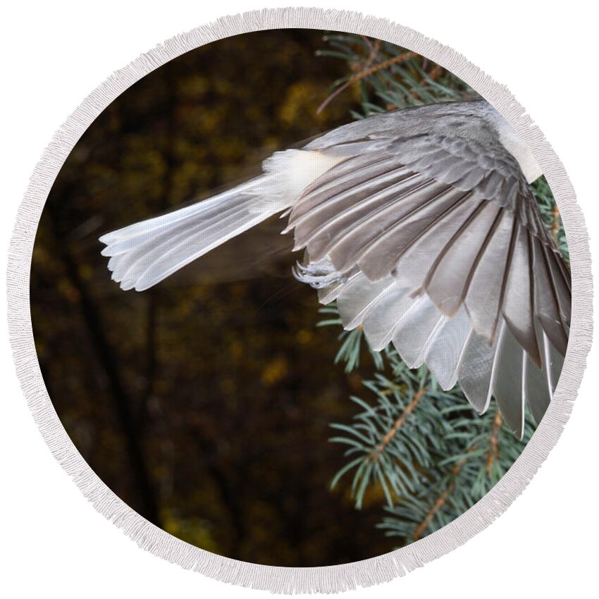 Tufted Titmouse Round Beach Towel featuring the photograph Tufted Titmouse In Flight by Ted Kinsman