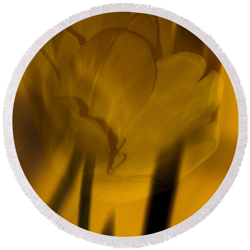 Tulip Round Beach Towel featuring the photograph Tulip Abstract by Ed Gleichman