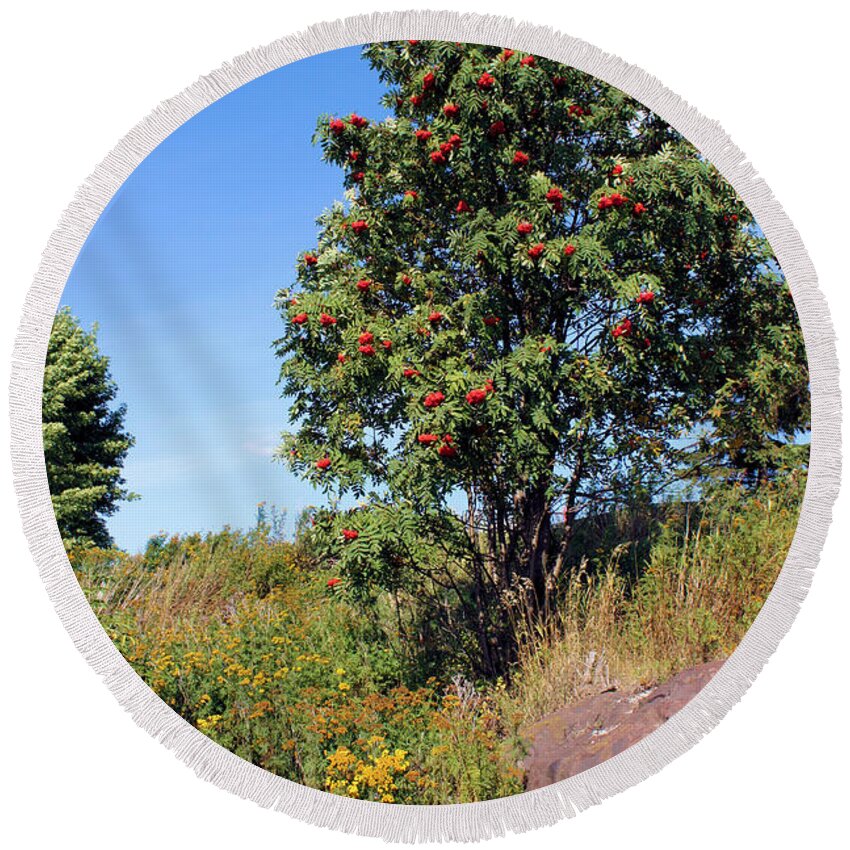 Tree Round Beach Towel featuring the photograph Unknowns by Kristin Elmquist