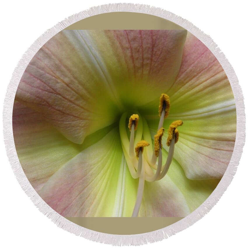 Lily Round Beach Towel featuring the photograph Up Close And Personal Beauty by Kim Galluzzo Wozniak