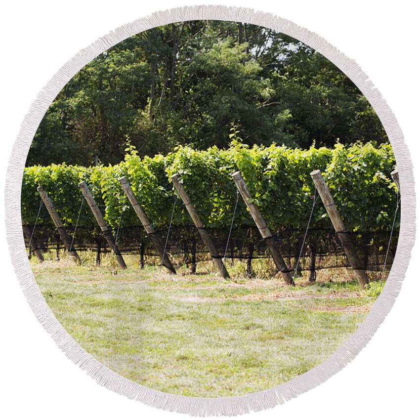 Vineyard Round Beach Towel featuring the photograph Vineyards by Leslie Leda
