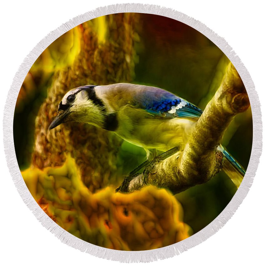 Blue Jay Round Beach Towel featuring the photograph Visions of a Blue Jay by Bill and Linda Tiepelman