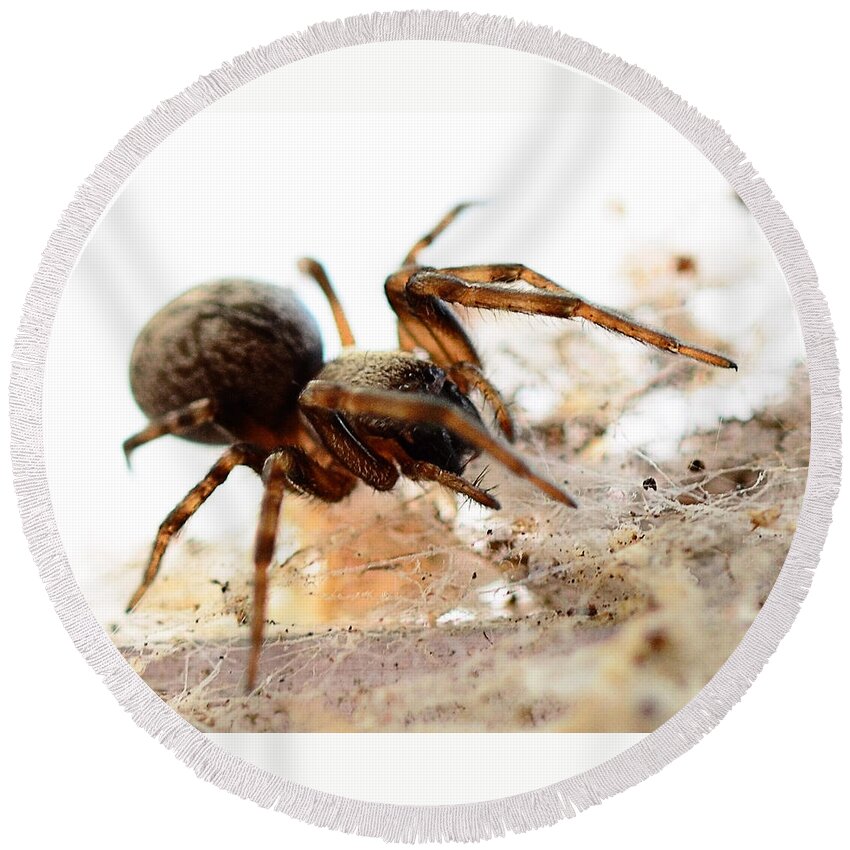 Spider Round Beach Towel featuring the photograph Waiting by Chriss Pagani