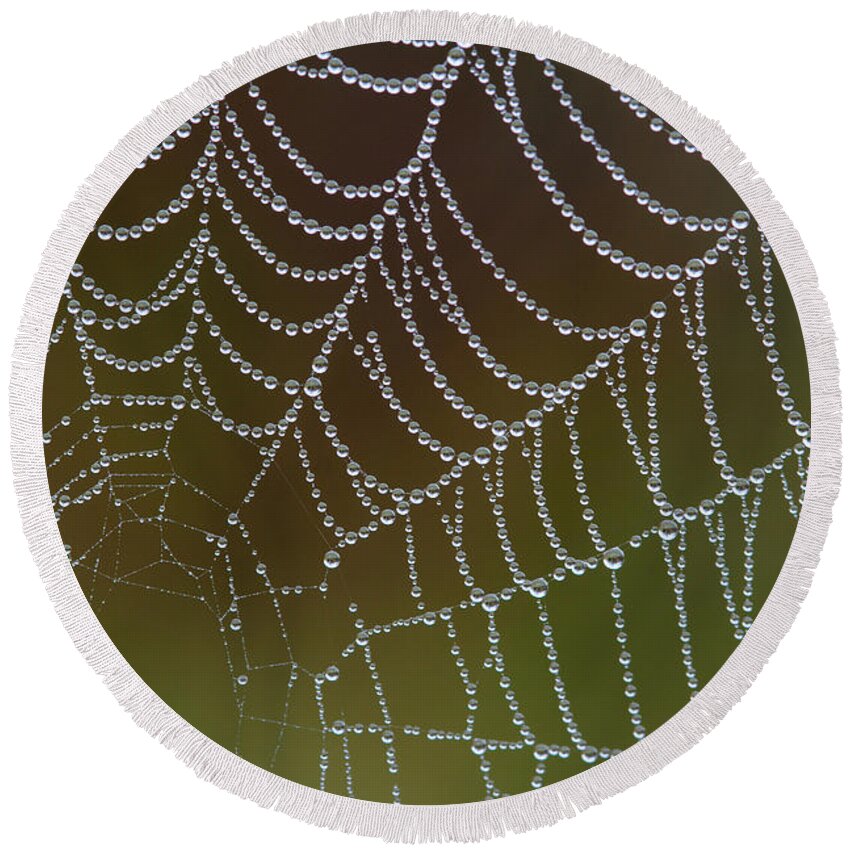  Round Beach Towel featuring the photograph Web With Dew by Daniel Reed