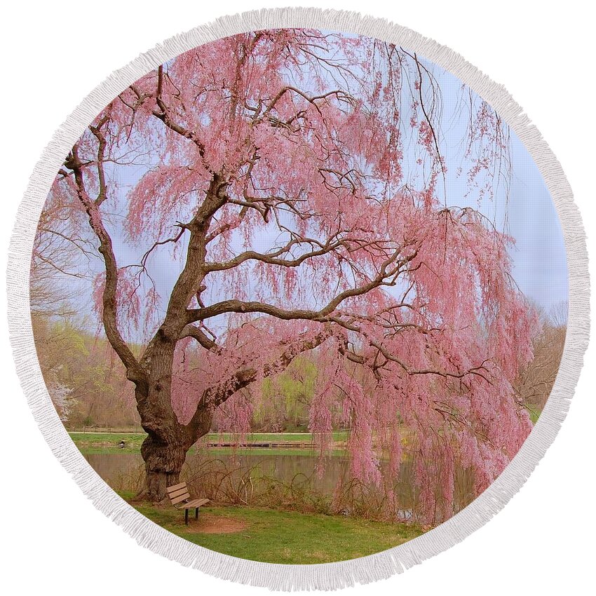 Cherry Blossom Trees Round Beach Towel featuring the photograph Weeping Spring- Holmdel Park by Angie Tirado