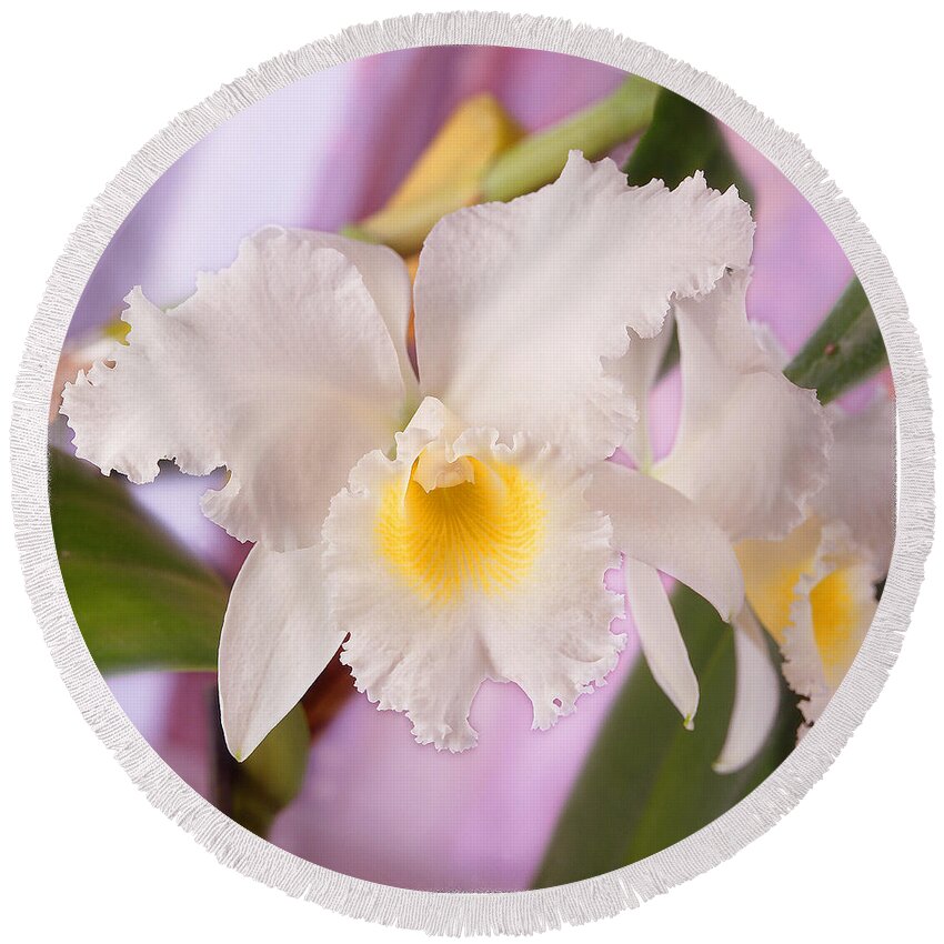 White Flower Round Beach Towel featuring the photograph White Orchid by Mike McGlothlen