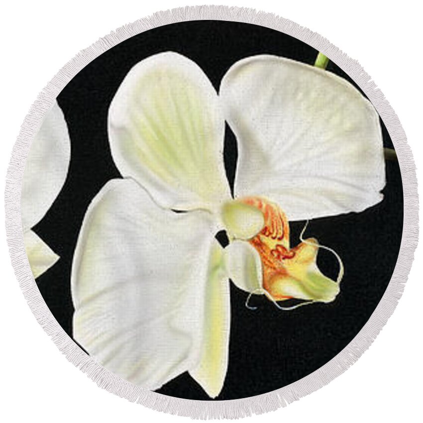 Orchids/white Orchids/flowers/canvas Paintings Round Beach Towel featuring the painting White Orchids by Dan Menta