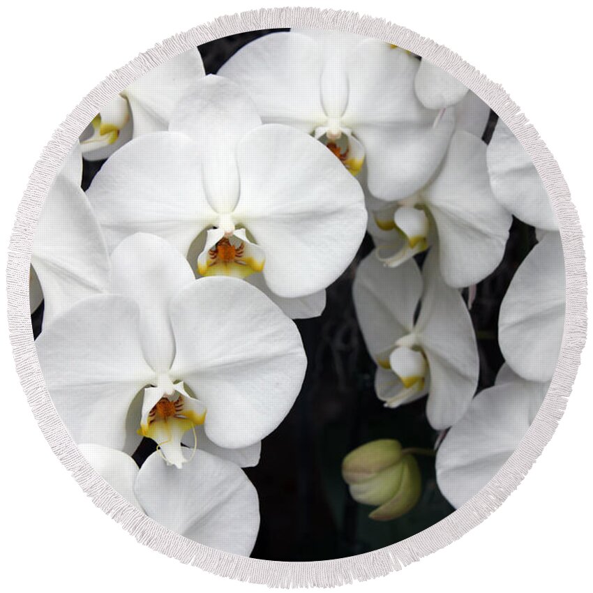 White Round Beach Towel featuring the photograph White Orchids by Debbie Hart