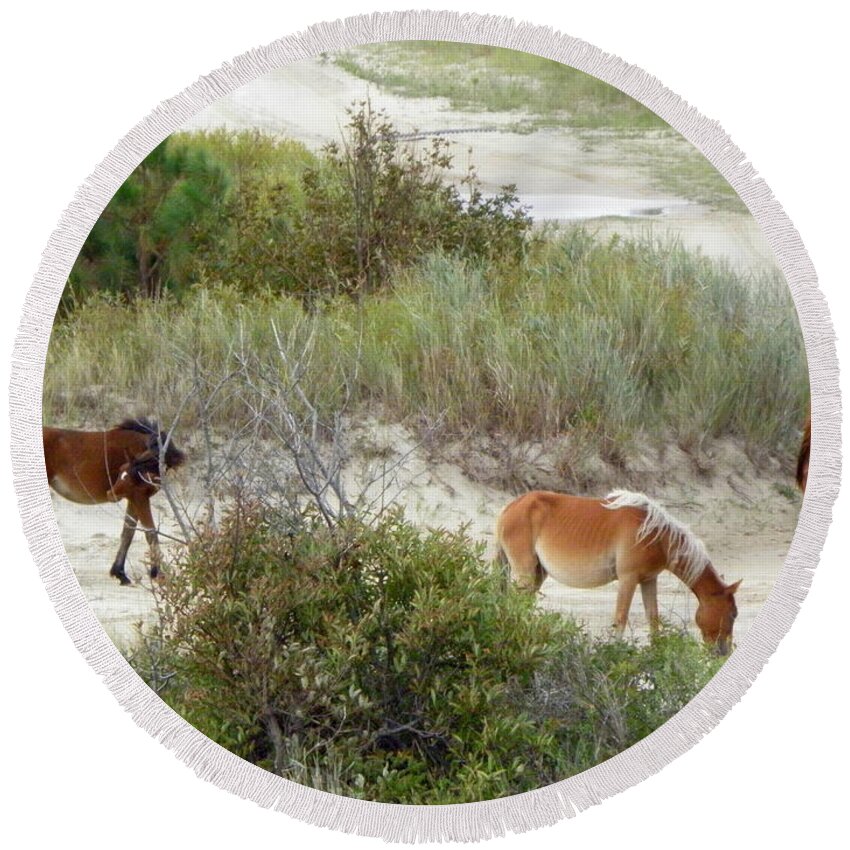 Wild Round Beach Towel featuring the photograph Wild Spanish Mustangs of the Outer Banks of North Carolina by Kim Galluzzo Wozniak