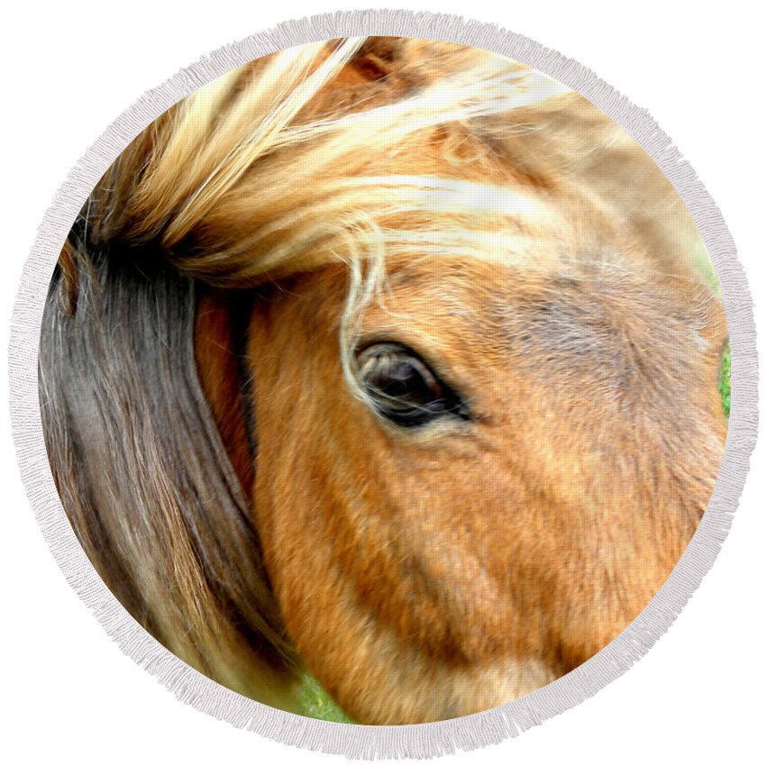 Miniature Pony Round Beach Towel featuring the photograph Wind Blown by Kim Galluzzo