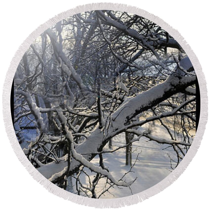 Branches Round Beach Towel featuring the photograph Winter Branches by Tim Nyberg