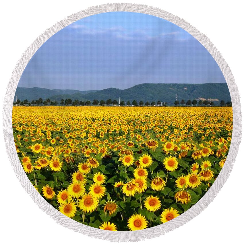 Sunflower Round Beach Towel featuring the photograph World of Sunflowers by Amalia Suruceanu