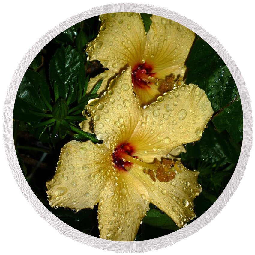 Hibiscus Round Beach Towel featuring the photograph Yellow Hibiscus After the Rain by Renee Trenholm