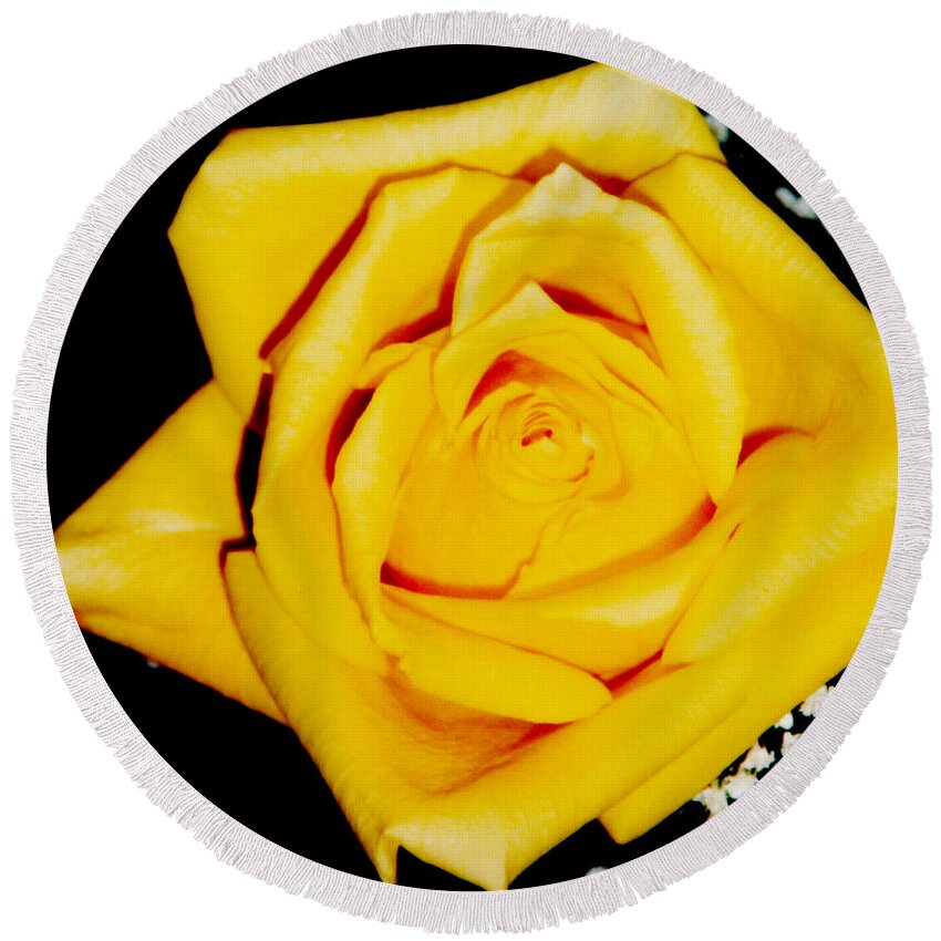 Yellow Rose Round Beach Towel featuring the photograph Yellow Rose by Susan Stevens Crosby