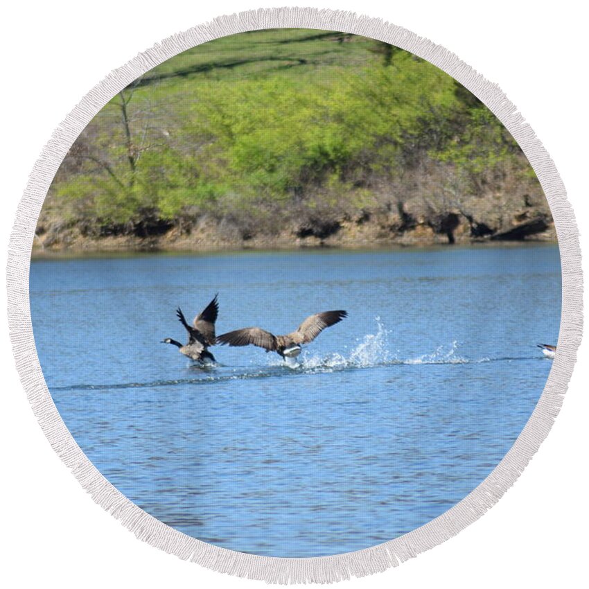 Canadian Geese Round Beach Towel featuring the photograph The Landing by Shutter Print