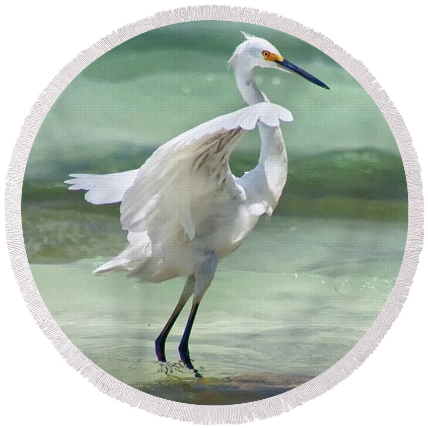 Egret Round Beach Towel featuring the photograph A Snowy Egret (egretta Thula) At Mahoe by John Edwards