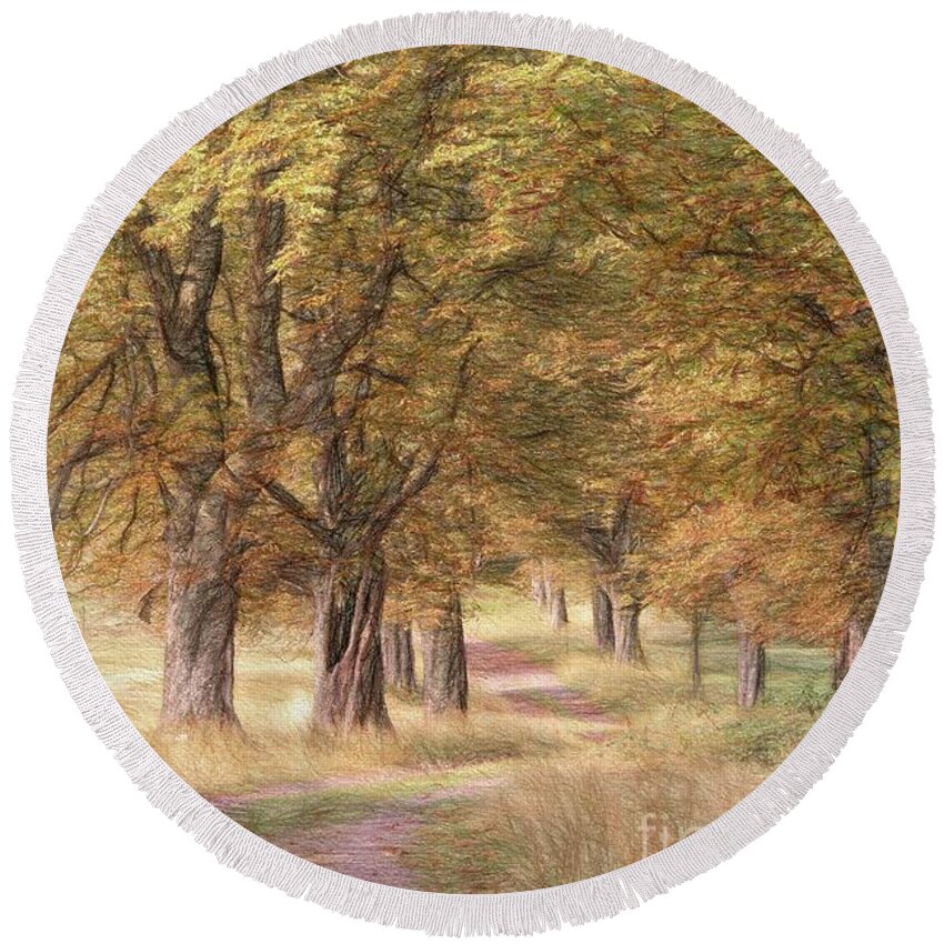 Alsace Round Beach Towel featuring the digital art A walk in the countryside #1 by Howard Ferrier
