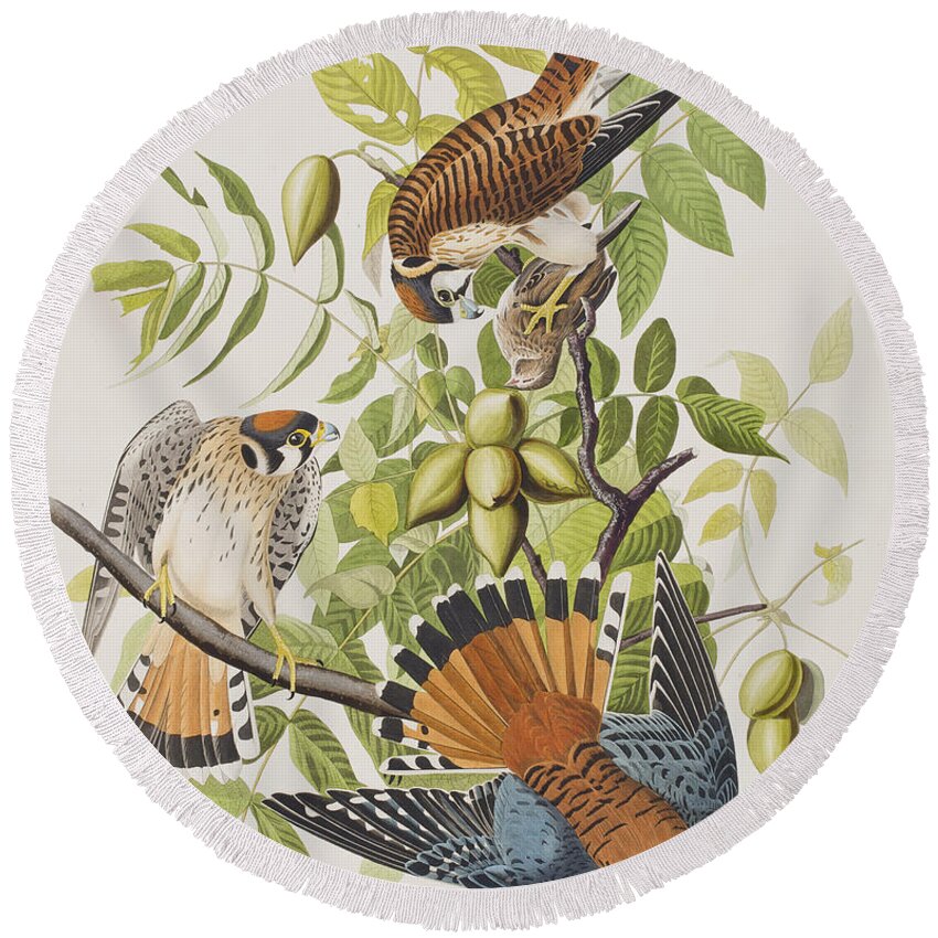 American Tree Sparrow Round Beach Towels