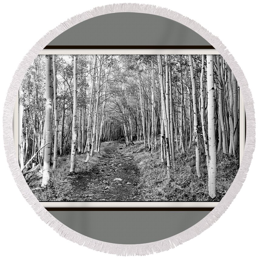 Aspen Round Beach Towel featuring the photograph Aspen Forest by Farol Tomson