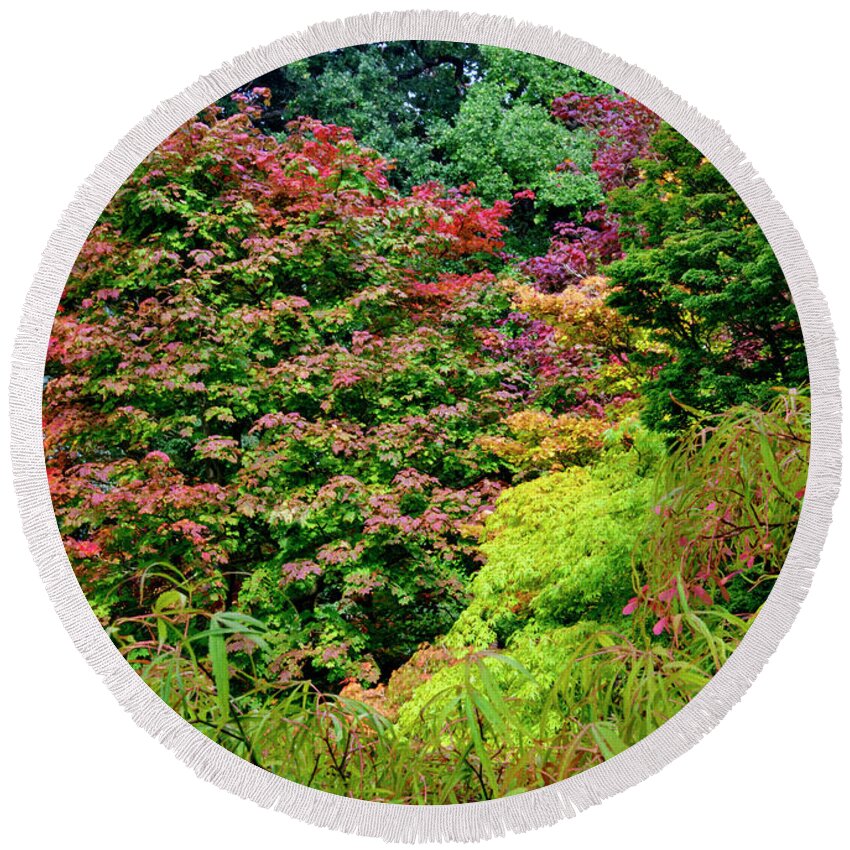 Trees Round Beach Towel featuring the photograph Autumn Leaves #1 by Martyn Arnold