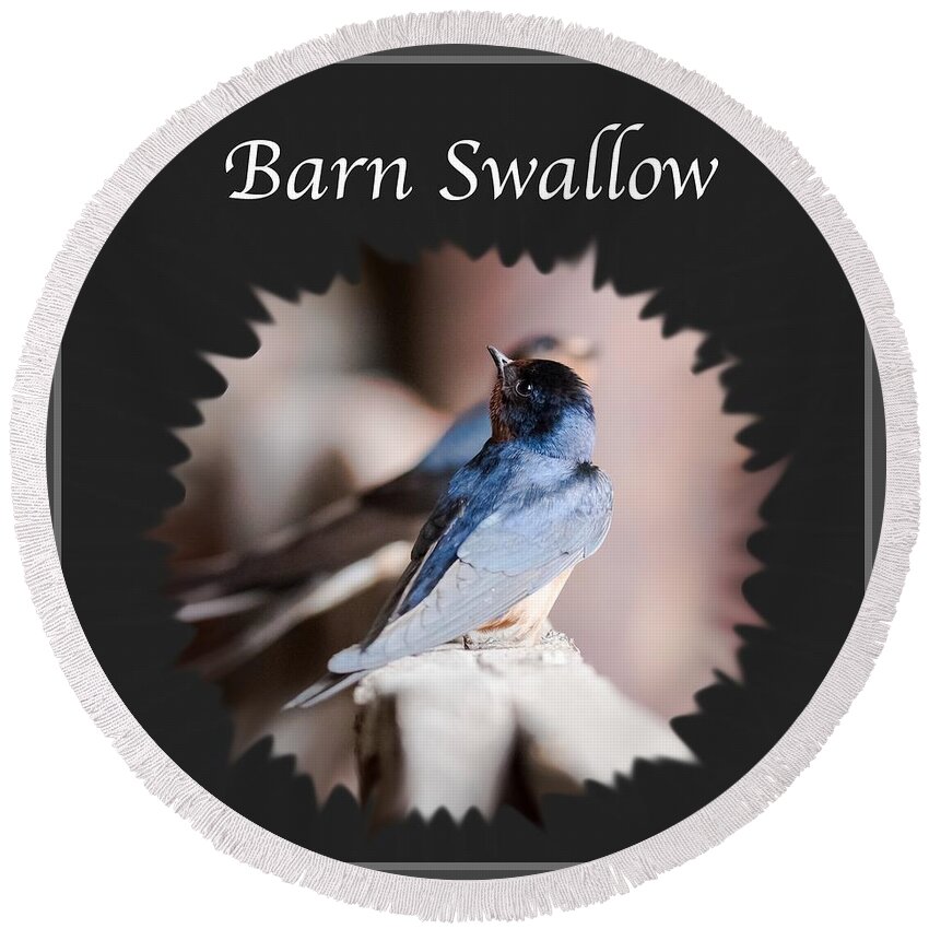 Barn Swallow Round Beach Towel featuring the photograph Barn Swallow #1 by Holden The Moment
