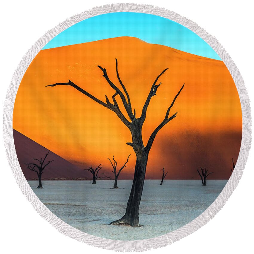 Deadvlei Round Beach Towel featuring the photograph Beauty lives forever. #2 by Usha Peddamatham
