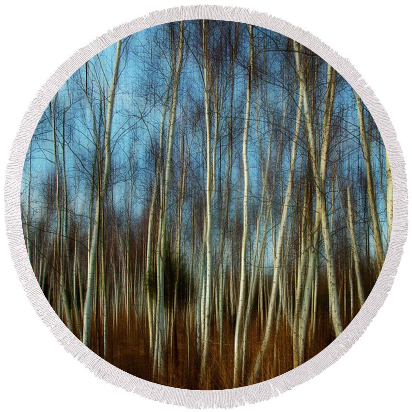 Forest Round Beach Towel featuring the photograph Birches #1 by Cathy Kovarik