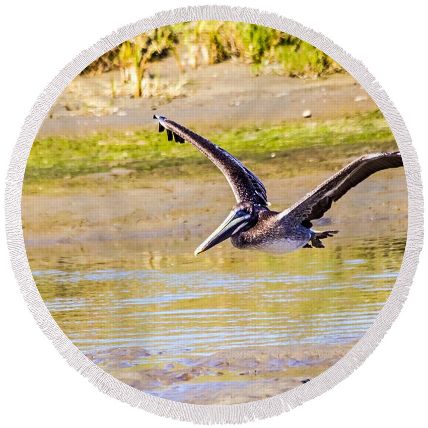 Bird Round Beach Towel featuring the photograph Brown Pelican II by Kate Brown