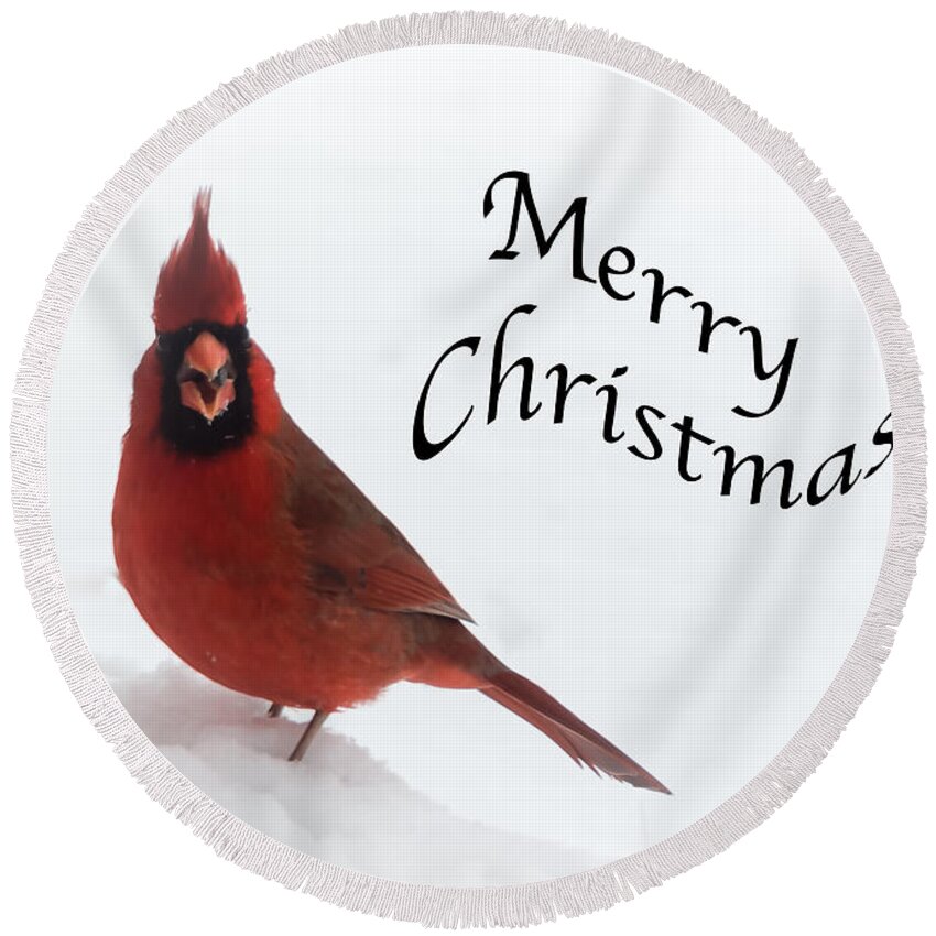 Cardinal Round Beach Towel featuring the photograph Cardinal Christmas #1 by Holden The Moment