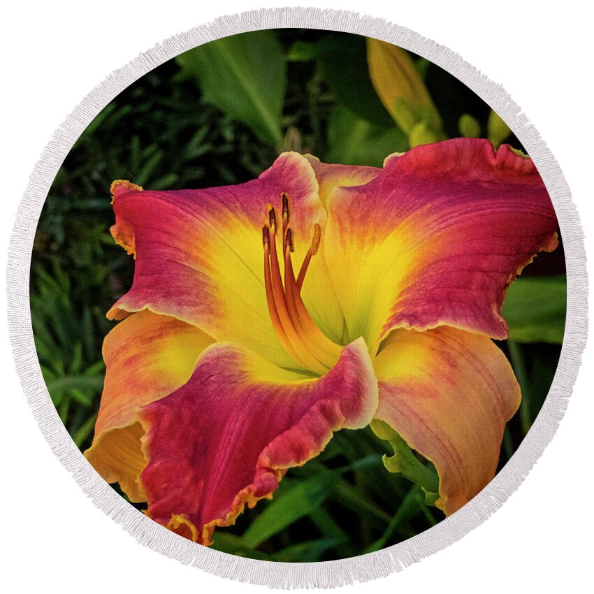 Fine Art Prints Round Beach Towel featuring the photograph Colorful Lily #1 by Dave Bosse