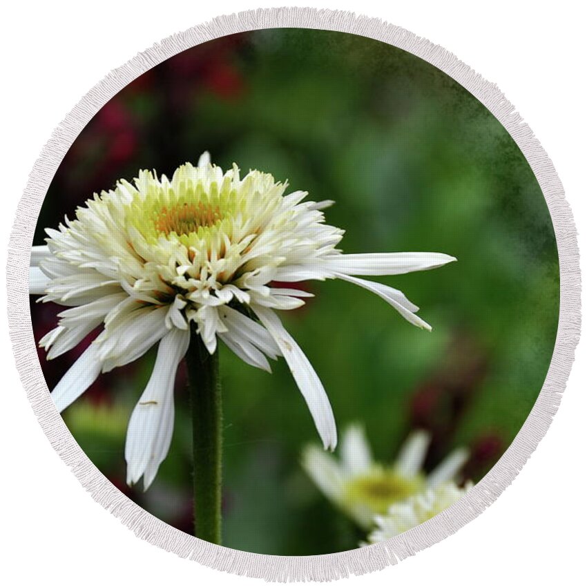 Coneflower Round Beach Towel featuring the photograph Coneflower #1 by Jackie Russo